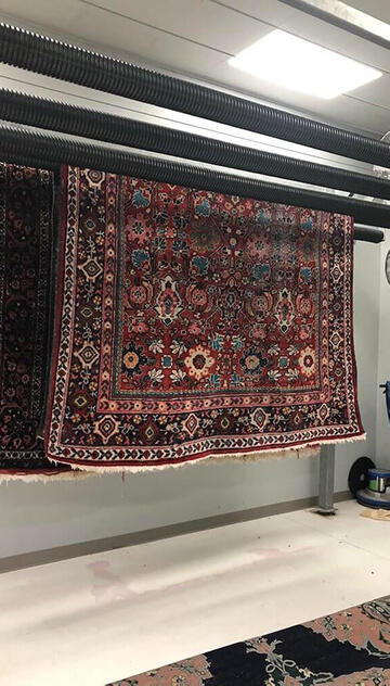 Rug Shop Potraits